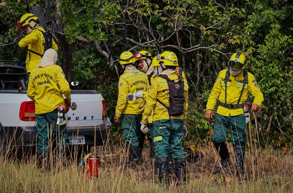 CIR: Brigadistas comunitários indígenas do CIR iniciam período de queima prescrita nas regiões de Roraima